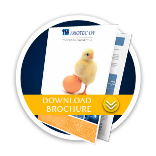 Download our brochure